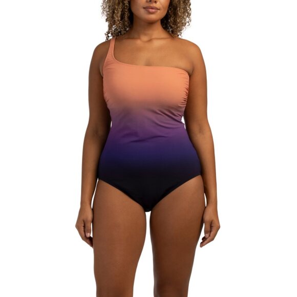 PROFILE BY GOTTEX Purple Multi Ombre One Shoulder One-piece Swimsuit - Picture 1 of 2